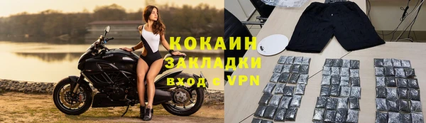 шишки Белоозёрский