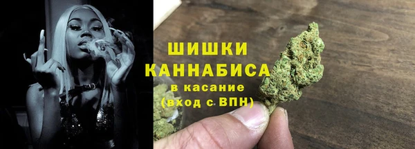 шишки Белоозёрский