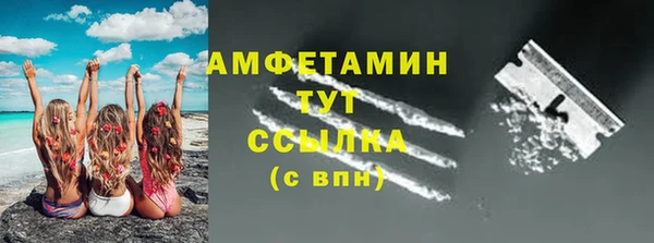 шишки Белоозёрский