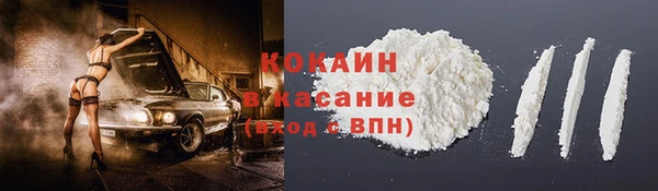 шишки Белоозёрский