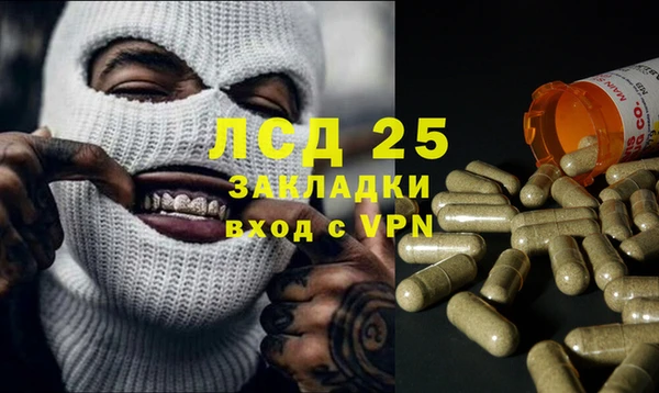 шишки Белоозёрский