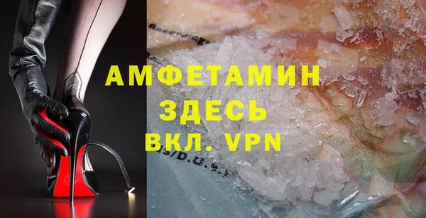 шишки Белоозёрский