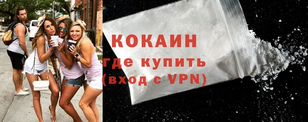 шишки Белоозёрский
