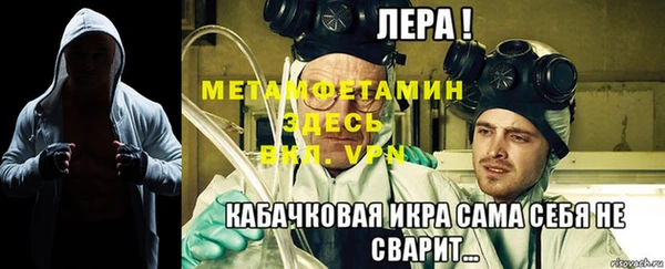 шишки Белоозёрский