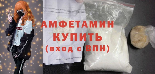 шишки Белоозёрский