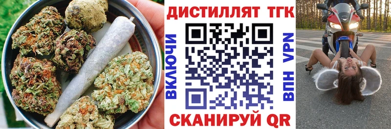 где можно купить   Жердевка  ТГК концентрат 