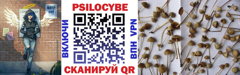 Псилоцибиновые грибы GOLDEN TEACHER  закладки  Жердевка 